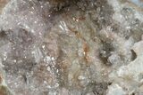 Las Choyas Coconut Geode Half with Amethyst Crystals - Mexico #165560-1